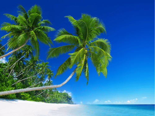 paket wisata pulau seribu