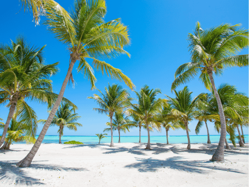 paket wisata pulau seribu