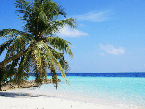 Pantai LIPI Pulau Pari, Surga Tersembunyi Bagi Pencari Sunrise Instagramable - Rani Journey