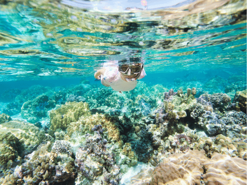 paket wisata pulau seribu